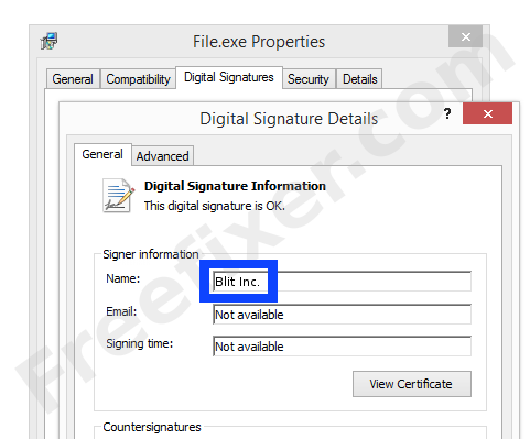 Screenshot of the Blit Inc. certificate